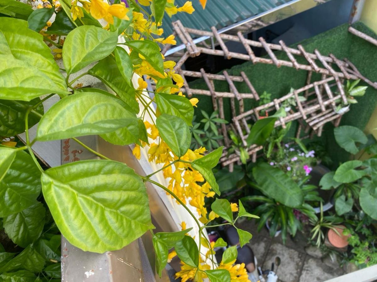 Seven Homestay Hue Exteriér fotografie