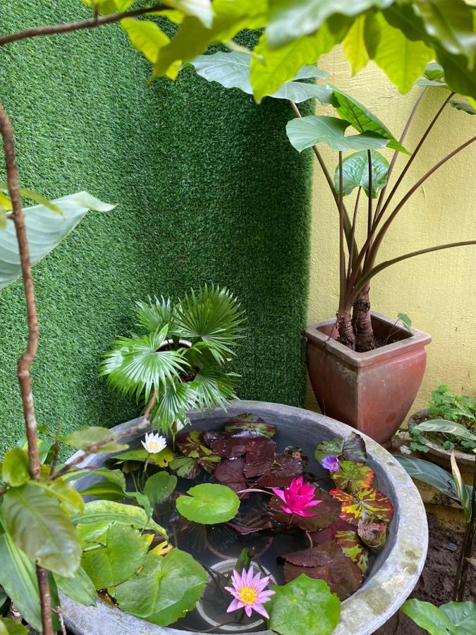 Seven Homestay Hue Exteriér fotografie